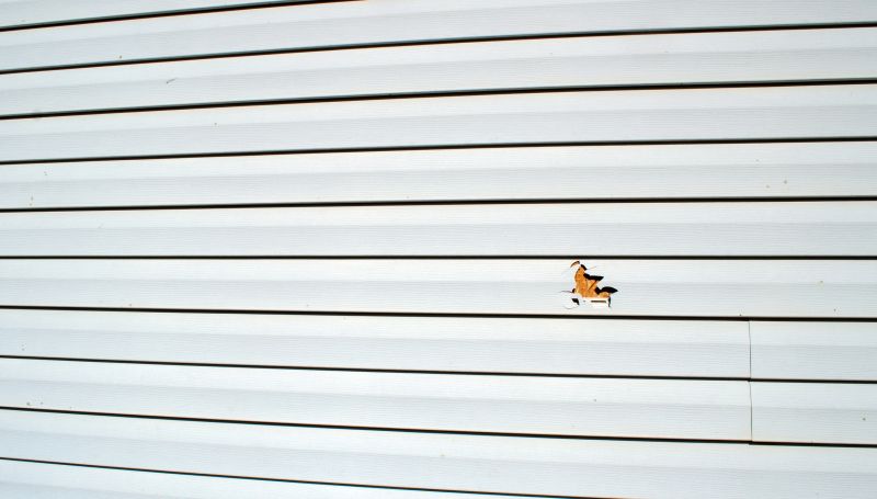 Before and After Repair