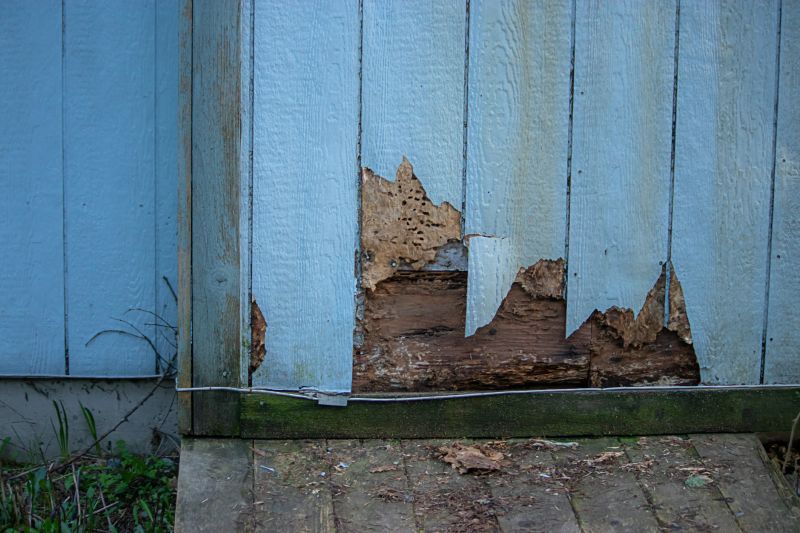 Damaged Siding Before Repair